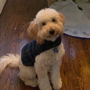 Meet your Posher, Rosemary